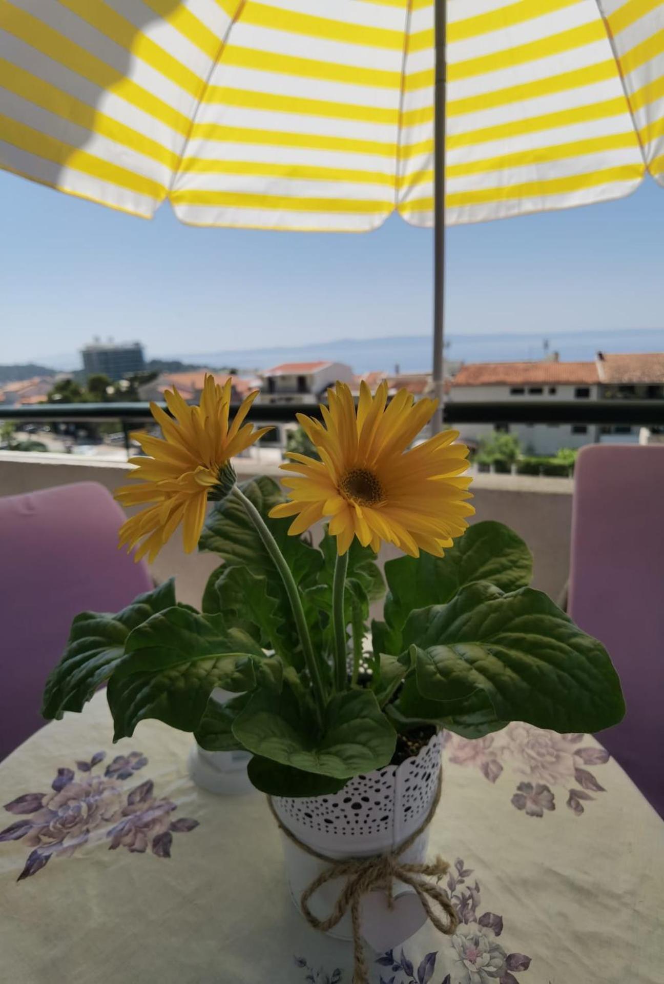 Jadranka Makarska